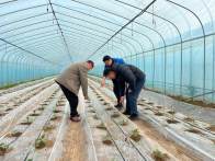 擂鼓鎮：搶抓農時備春耕