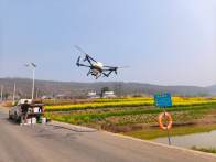 寶豐鎮：“一促四防”穩增收