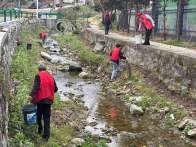雙臺鄉：河道整治換新顏 十星引領樹新風