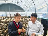 市人大常委會(huì)副主任劉永來我縣調(diào)研