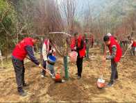 峽藏仙境鋪錦繡 文旅賦能啟新程