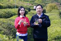 好品竹山：东建硒茶