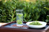 今春风调雨顺  我县春茶形势喜人