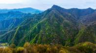 双台乡： 秦巴山间紫霞漫 十里春风醉乡关