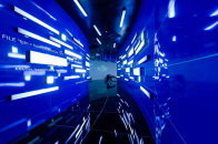 从“樱约”到“应约” 留在武汉不只是为一枝花