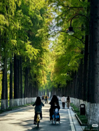 网友灵魂发问：五一假期的武汉到底是有谁在啊？！