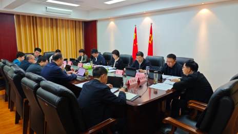 县政府党组会议召开
