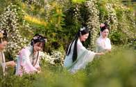 生态育茗  硒茶飘香