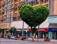 网友提出一个浪漫建议，十堰：立即安排！