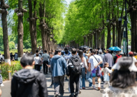 在武汉，最美的风景全是免费的？——中国经济光明论的微观注脚