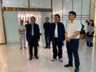 张清甫来我县调研绿松石产业发展