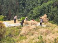 秸稈利用新方式 田間地頭煥新顏