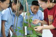 楼台乡：花开映笑脸 “五育”润童心