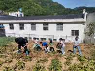 楼台乡公安教学点师生快乐收土豆 