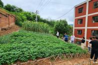 擂鼓中学：依托劳动基地  深耕劳动教育