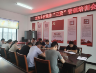 双台乡：加强“三资”监管  守好农村“钱袋子”