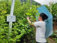 官渡镇：闻“汛”而动 筑牢防汛“安全堤”