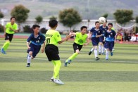 宝丰镇2024年上半年教育工作可圈可点