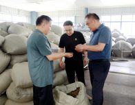 县农业农村局：竹山大叶茶产销两旺