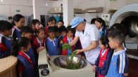 得胜镇中心小学开展绿茶炒制技艺研学活动