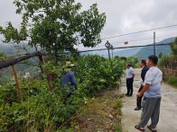 上庸镇：闻“汛”而动  织密汛期防护网