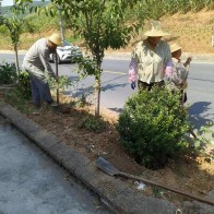 擂鼓镇：路域整治提升村庄颜值