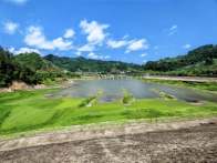 深河乡雨后换“新颜 ”