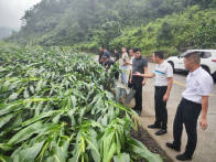 县农业农村局：全力抗击暴风雨灾害，保障民生与农业生产