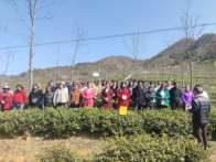 县就业局：强实干重实效 奋力实现“双过半”