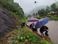 深河乡：退役军人防汛显担当