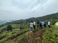 县审计局：调查地质灾害信息监测系统管理运行情况