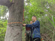 城关镇窑沟村：古树名木调查工作顺利完成