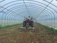 擂鼓镇：农机进大棚 种菜更省力