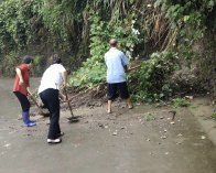 大庙乡：开展雨后清淤  保道路安全畅通