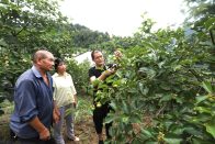 文峰乡：科技服务到田头