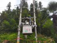 县供电公司更换配电设备 及时恢复供电