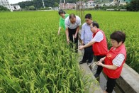 宝丰镇：“庄稼医生”服务上门