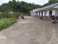 麻家渡镇：“四强化”推动人居环境整治 