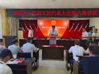 深河乡选举产生新一任人大主席团主席