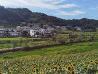 擂鼓镇：五彩西河绘就乡村振兴新图景