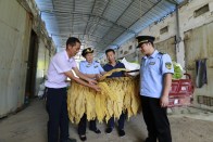 加强服务监管 助力烟农增收