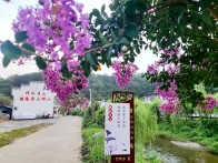 竹坪乡：美好“院”景 扮“靓”乡村