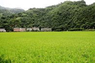 县农业农村局：观摩学习取真经  交流借鉴促振兴