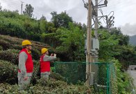 压降台区线损 助力提质增效