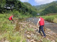 得胜镇：党员领航志愿行 巡河护水显担当