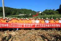 竹山县：优选玉米“金种子” 提质提效增产量