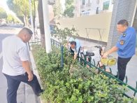 麻家渡镇：环境卫生齐整治　“洁”尽全力展新颜