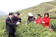 竹山法院：能动司法 推动服务力量下沉