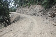 林业局探索“党建+项目建设”模式筑牢生态安全屏障