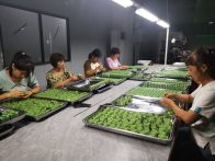 湖北耀东铸造有限公司：开足马力忙生产